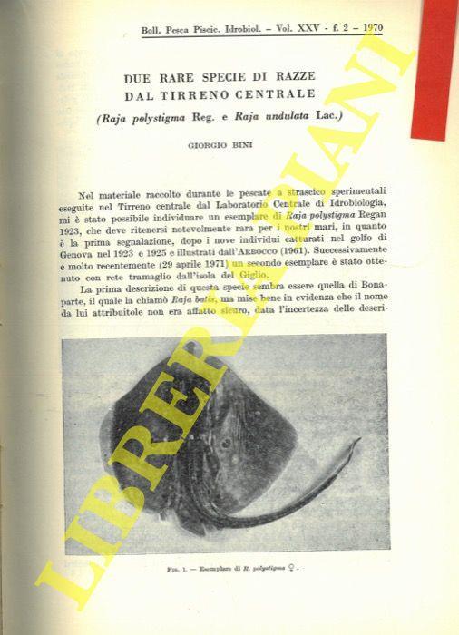 Due rare specie di razze dal Tirreno Centrale (Raja polystigma Reg. e Raja undulata Lac.)  - Giorgio Bini - copertina