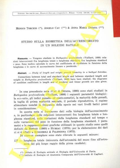 Studio sulla biometria dell'accrescimento in un soleide batiale - Menico Torchio - copertina