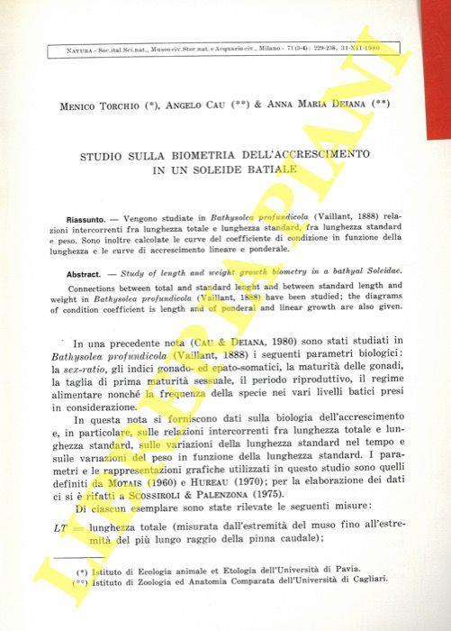 Studio sulla biometria dell'accrescimento in un soleide batiale - Menico Torchio - copertina