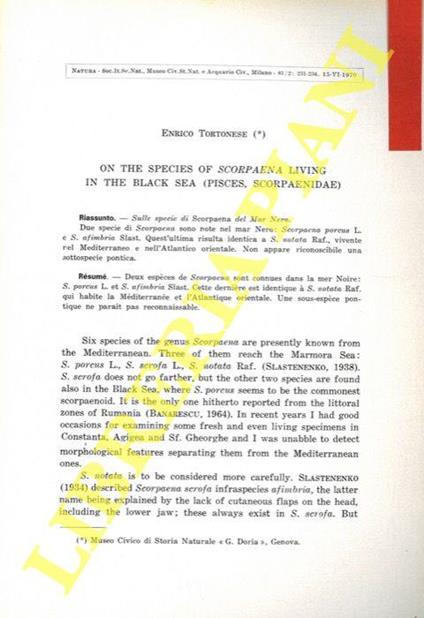 On the species of Scorpaena living in the Black Sea (Pisces, Scorpaenidae) - Enrico Tortonese - copertina