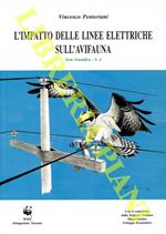 L' impatto delle linee elettriche sull'avifauna