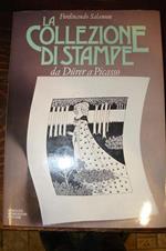 La collezione di stampe da Durer a Picasso. Guida allo studio dell'incisione antica e moderna con oltre 250 illustrazioni in nero
