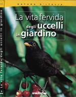 La vita fervida degli uccelli in giardino