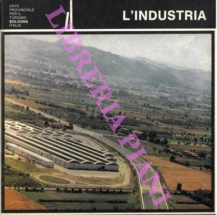 L' industria - Dario Zanelli - copertina
