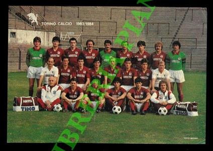Torino Calcio. 1983/1984 - copertina
