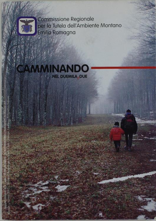 Camminando Nel Duemila Due - copertina