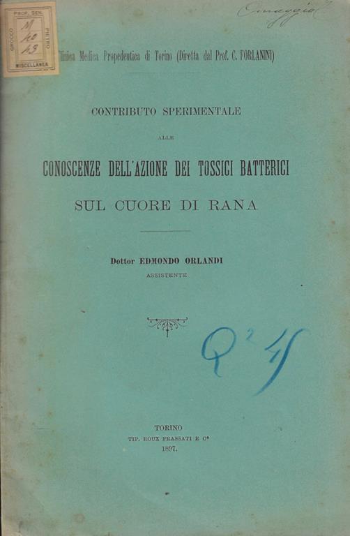 Biblioteca di Babele