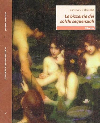 La bizzarria dei solchi sequenziali - copertina