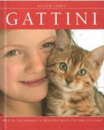 Gattini