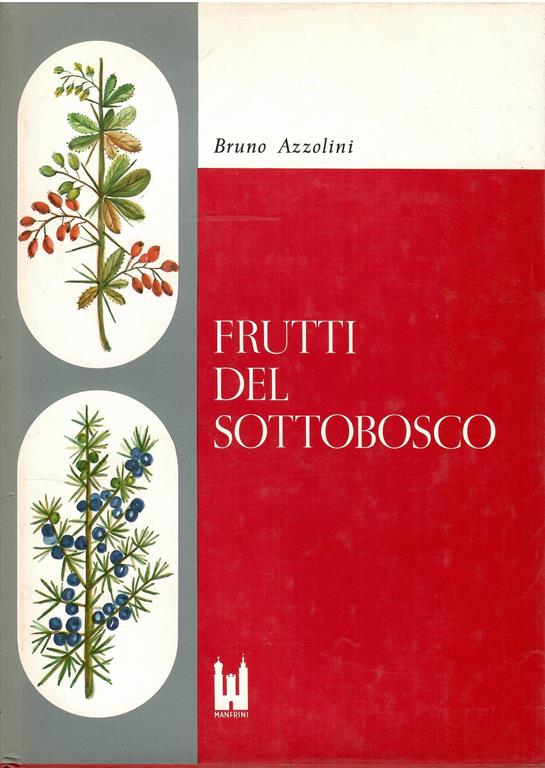 Libroteka di Fattoretti Silvia