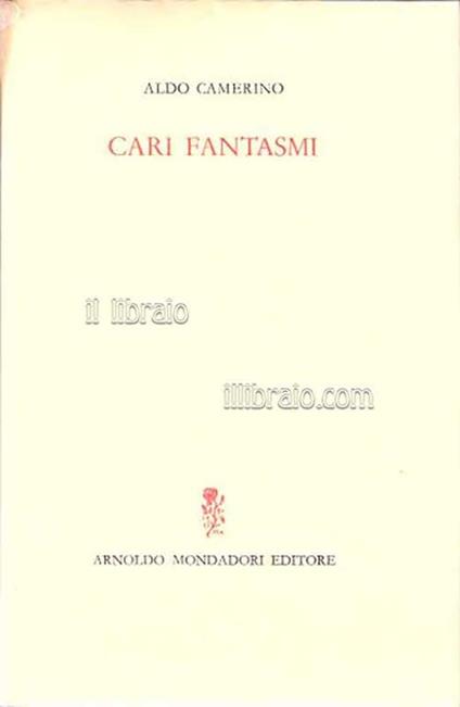 Cari fantasmi - Aldo Camerino - copertina