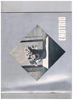 Enotrio. Estate 1981. Per cura della Regione Lazio - Assessorato al Turismo e l'Azienda Autonoma di Cura Soggiorno e Turismo di Fiuggi