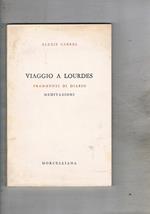Viaggio a Lourdes. Frammenti di diario. Meditazioni