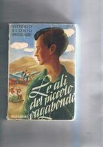 Le ali del piccolo vagabondo