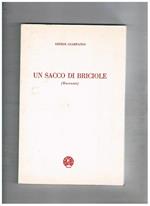 Un sacco di briciole (racconti)