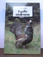 Il gallo cedrone