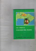 Gli insetti parassiti del pioppo