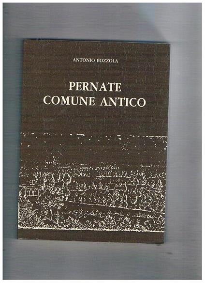 Penate comune antico. Pubblicato in occasione dei 450 anni della Madonna del Bosco - Antonio Bozzola - copertina