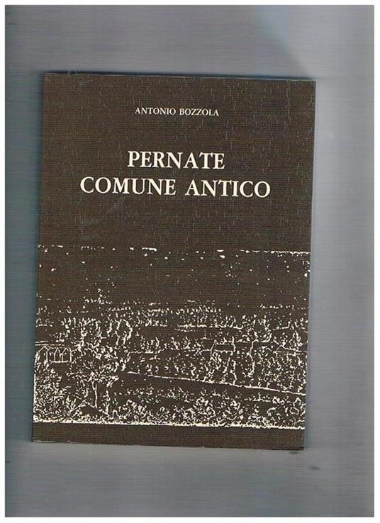 Penate comune antico. Pubblicato in occasione dei 450 anni della Madonna del Bosco - Antonio Bozzola - copertina
