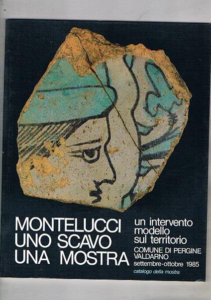 Montelucci uno scavo una mostra. Un intervento modello sul territorio. Catalogo della mostra fatta a Pergine Valdarno nel 1985 - copertina