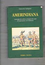 Amerindiana. Antologia di scritti su cinquecento anni di repressione e di resistenza. Prefazione di Matthias Abram
