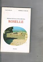 Profilo di una città etrusca Roselle