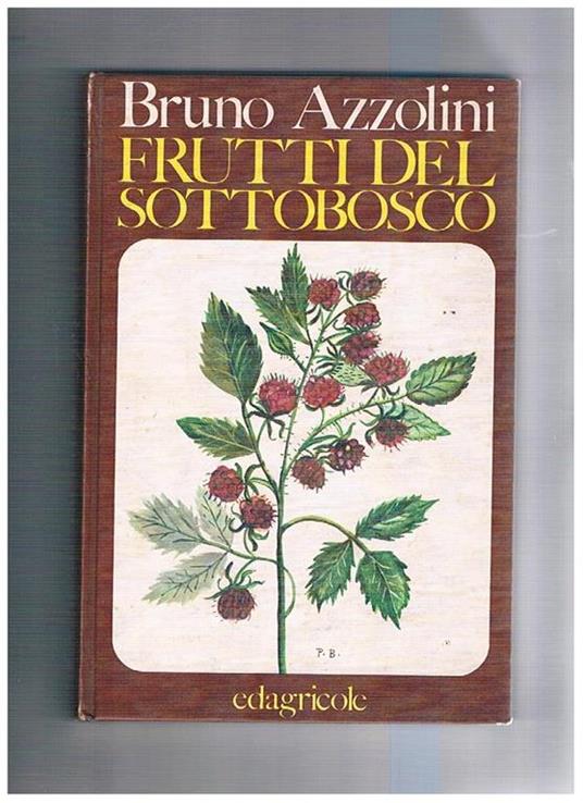Frutti del sottobosco. Morfologia di piante fruttifere. Acquarelli dal vero di Pia Belli - Bruno Azzolini - copertina