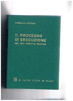 Il processo di esecuzione nel suo aspetto pratico. Quinta edizione