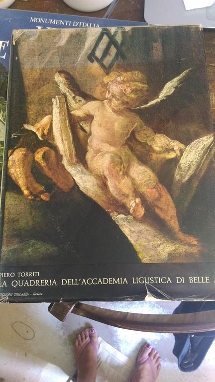La quadreria dell'accademia ligustica di belle arti in Genova - Piero Torriti - copertina