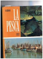 La pesca. Dalle acque interne al mare