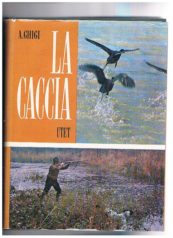 Libreria Gullà