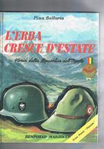 L' erba cresce d'estate (storia della repubblica dell'Ossola). Illustrazioni di Squillantini