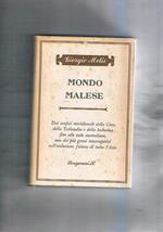 Mondo malese. Interrogativi sul futuro dell'asia