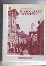 Passeggiate trentine. Lezioni popolari sui monumenti principali della città di Trento. Parte Prima monumenti entro la cinta romana