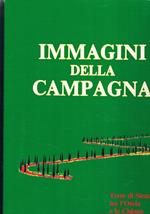 Immagini della campagna: terre di Siena tra l'Orcia e la Chiana