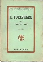 Il forestiero. Romanzo