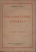 Che cosa vuole l'Italia?