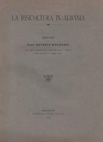 La risicoltura in Albania. Memoria del Prof. Antonio Baldacci letta alla R. Accademia delle Scienze dell'Istituto di Bologna nella Sessione del 22 Maggio 1921