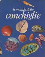Il mondo delle Conchiglie