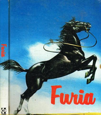 Furia - Maurizio Seymandi - copertina