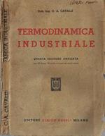Termodinamica industriale