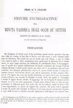 Figure dichiarative della minuta fabbrica degli occhi de'Ditteri disposte ed ordinate in dodici tavole