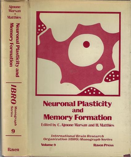 Neuronal plasticity and memory formation - copertina