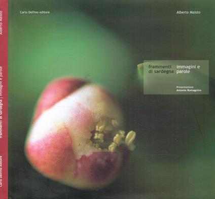 Frammenti di Sardegna. Immagini e parole - Alberto Maisto - copertina