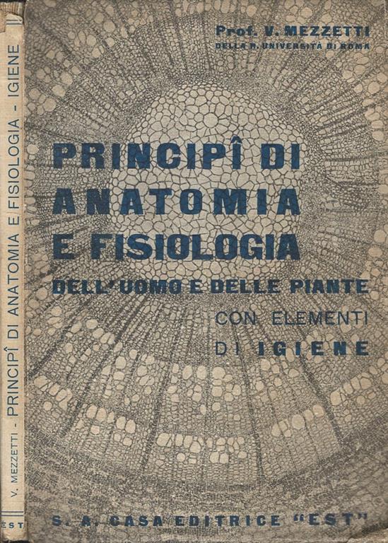 Biblioteca di Babele