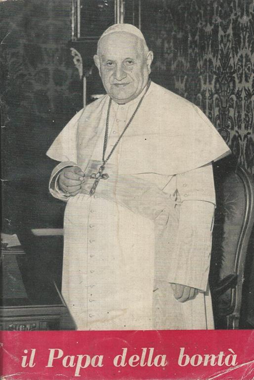 Il Papa della bontà - copertina