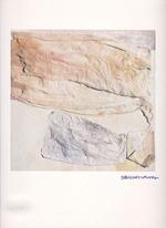 Bolaffi Arte. Numero 42 Anno V. Con Una Riproduzione Fotolitografica Di Robert Rauschenberg