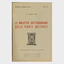 Libreria Aldrovandi