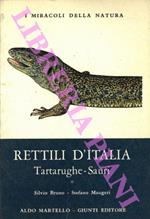 Rettili d'Italia. Tartarughe e sauri. Vol. 1