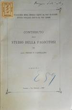 Contributo allo studio della fagocitosi